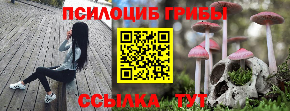 Галлюциногенные грибы прущие грибы Фурманов